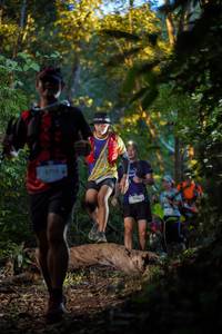 BIB: 
                            <button type="button" onclick="openModal(19237633)" class="btn btn-primary btn-sm float-right btn-popup" data-toggle="modal" data-target=".modal-high-quality">
                        <i class="fas fa-shopping-cart"></i> Add to Cart
                    </button>
                                            <button type="button" onclick="isThisMe(19237633, true)" class="btn btn-success btn-sm float-right btn-popup btn-isme hidden" data-toggle="tooltip" data-placement="bottom" title="นี่คือรูปของคุณใช่ไหม คลิกที่นี่เพื่อเอาเข้าอัลบั้ม">
                        <i class="fas fa-plus"></i> Add to album
                    </button>
                    <button type="button" onclick="isThisMe(19237633, false)" class="btn btn-warning btn-sm float-right btn-popup btn-isnotme hidden">
                        <i class="fas fa-ban"></i> Remove from album
                    </button>